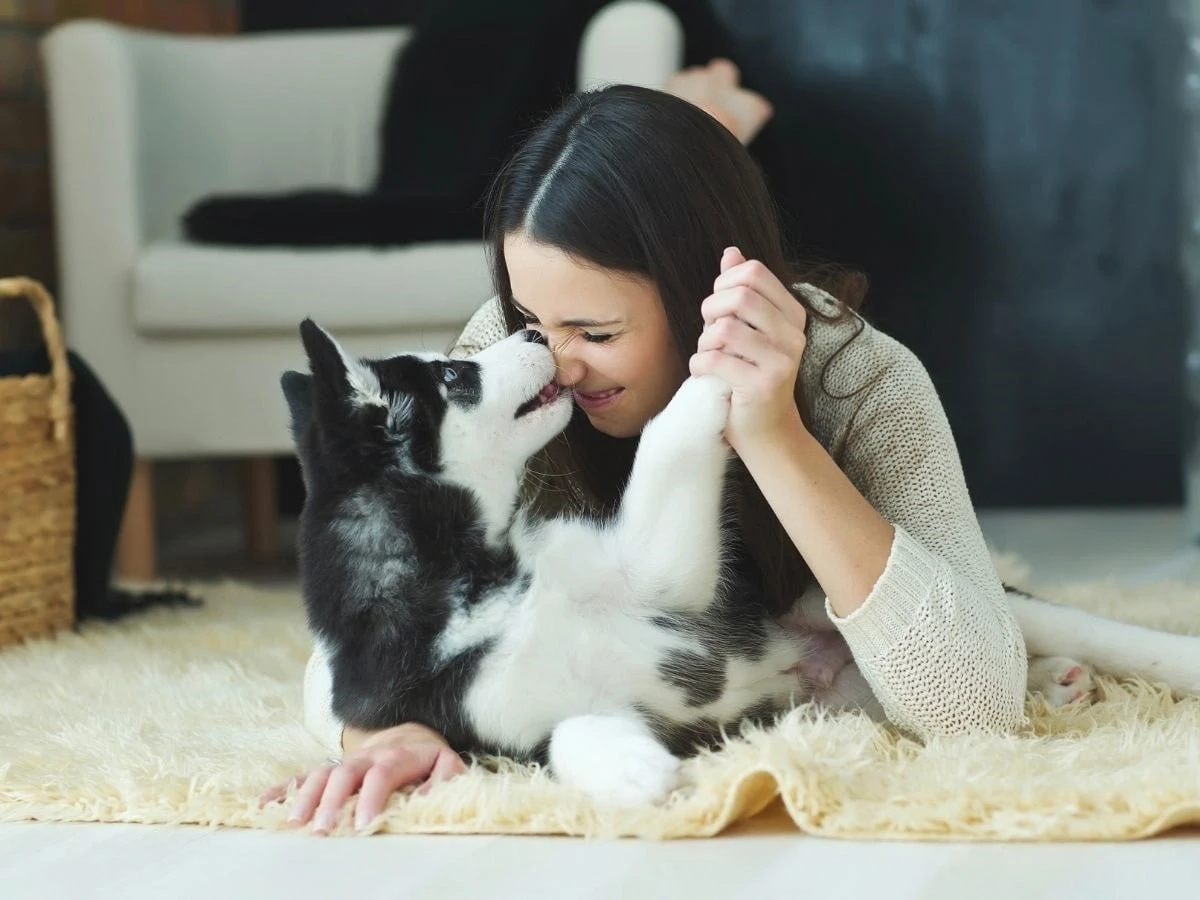  Hund und Frauchen beim Spielen 