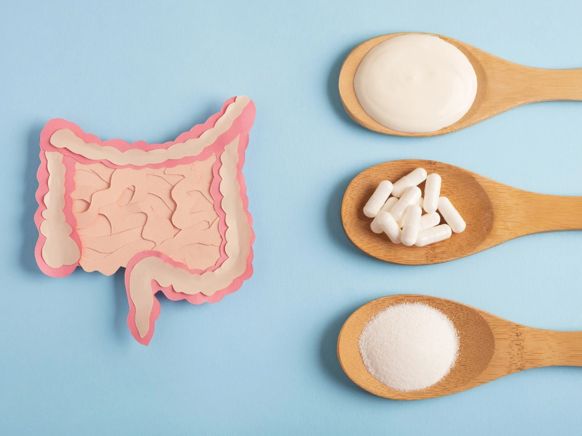  Darm-Dekorationsmodell mit verschiedenen Nahrungsergänzungsmitteln. Gesundes Verdauungskonzept 