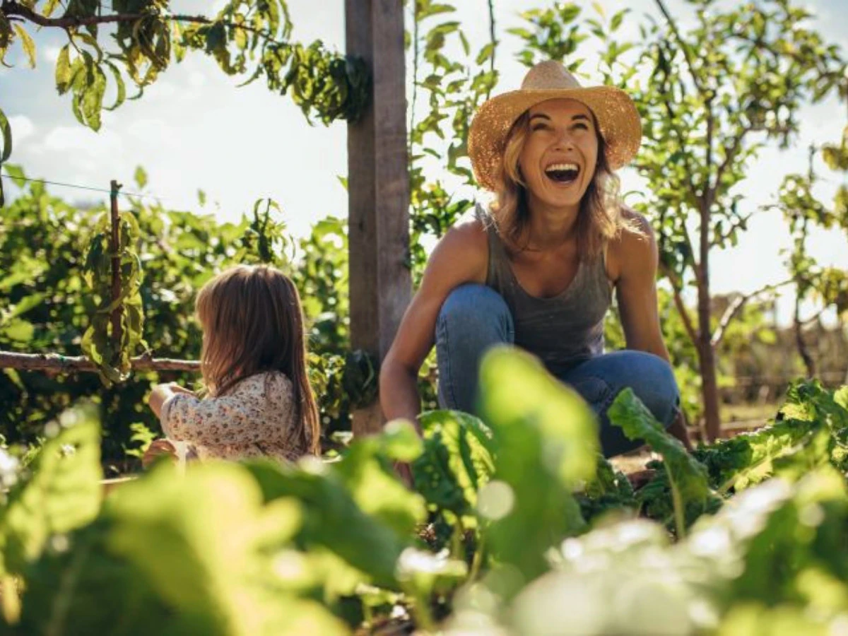  Familie, die zusammen an der Zuteilung arbeitet 